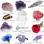 Crystals, flowers, and herbs that pair well with Gemini all on a white background.