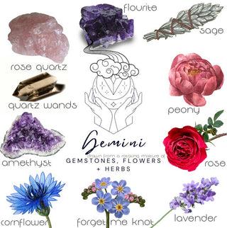 Crystals, flowers, and herbs that pair well with Gemini all on a white background.