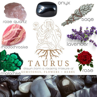 Crystals, flowers, and herbs that pair well with Taurus all on a white background.