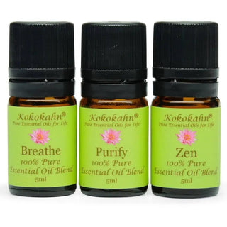 Essential Oil Blend Gift Set