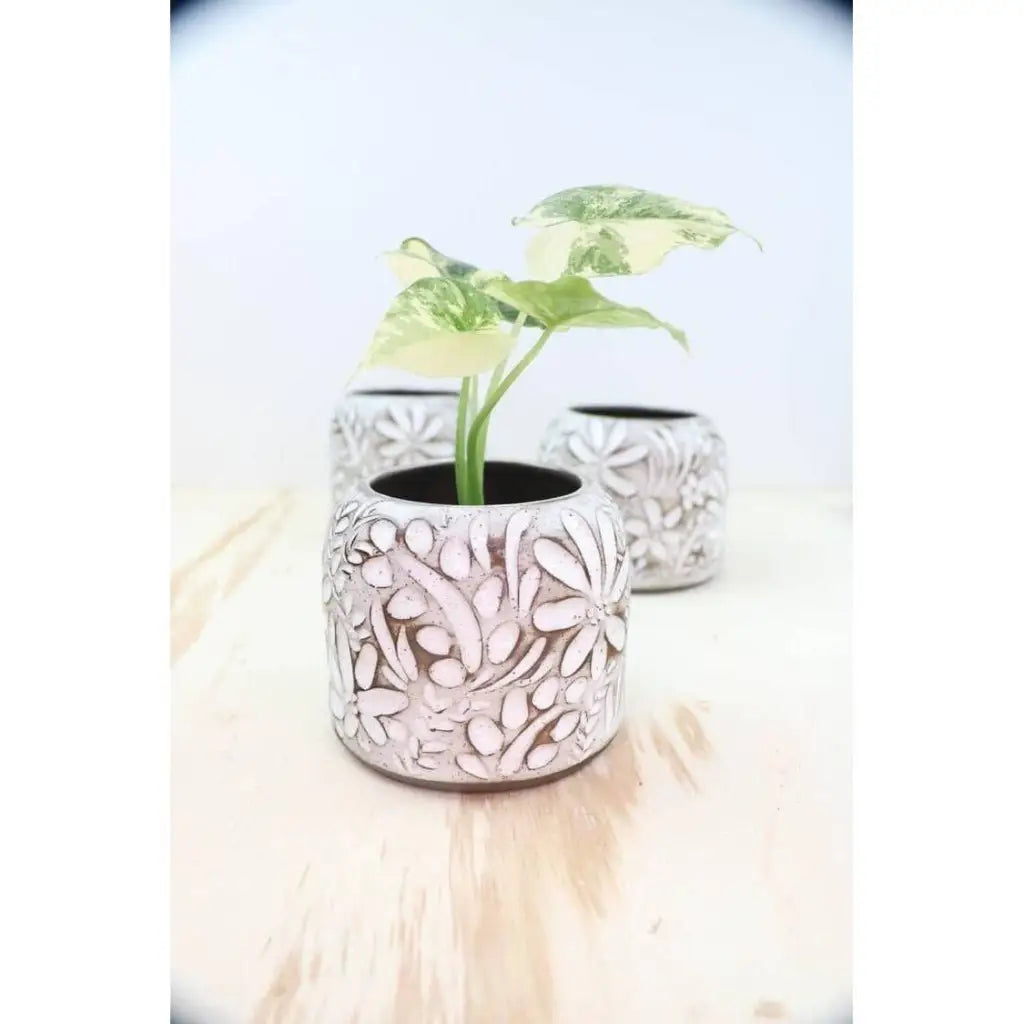 Floral Carved Planters - Rustic White