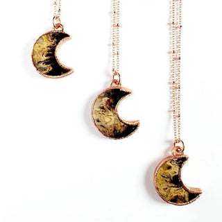 Fossilized Palm Wood Moon Necklace