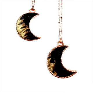 Fossilized Palm Wood Moon Necklace