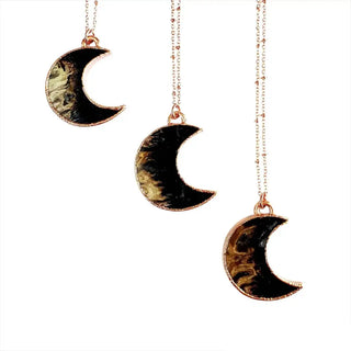 Fossilized Palm Wood Moon Necklace