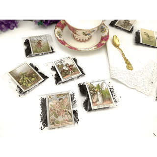 Garden Fairies Loose Tea Packets