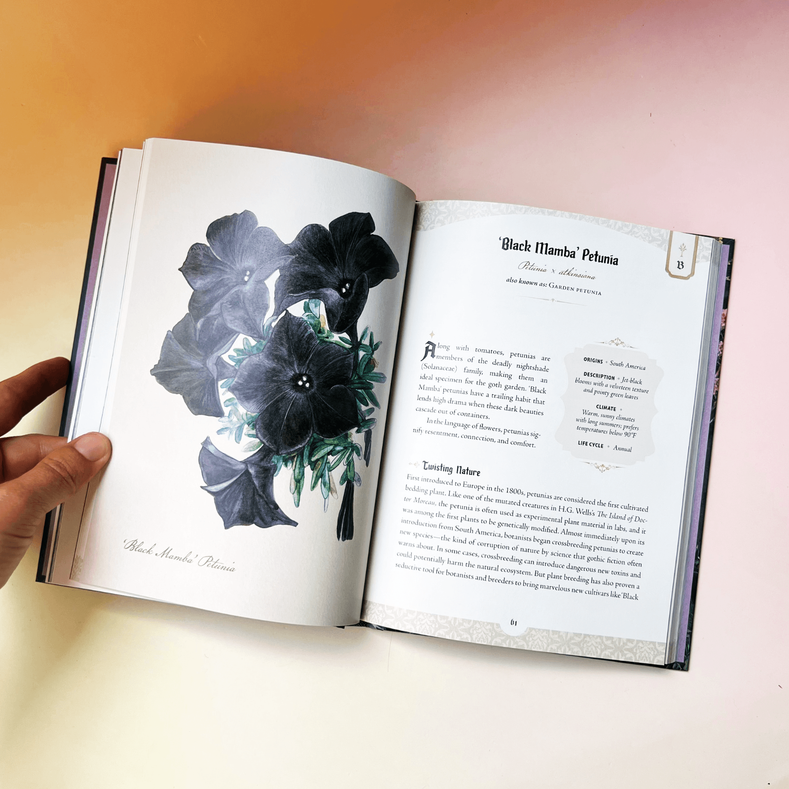 Open Goth Garden book showing blackberry botanical illustration and folklore