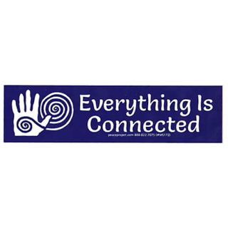 Bumper Sticker - Everything Is Connected