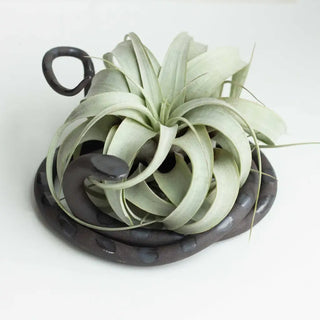 Large Ceramic Snake - Saul