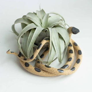 Large Ceramic Snake With Plant