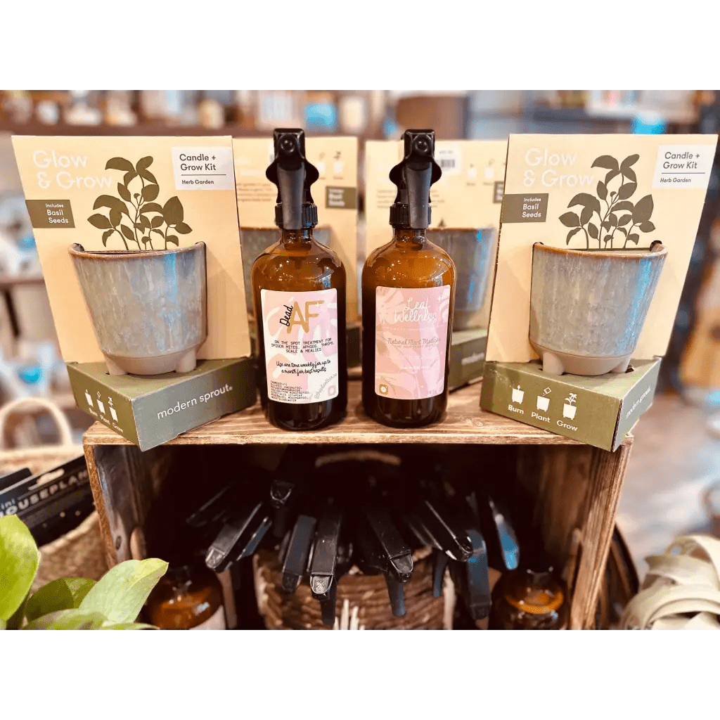 Leaf Wellness - 16oz - The Plant Bar