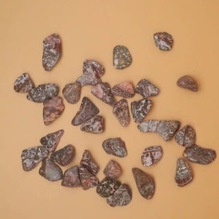 Leopard Skin Japer Crystal Tumbled Stone - Crystals