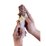 Holy Mullein Hag Torch