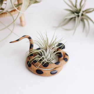 Medium Ceramic Snake With Plant - Sammy