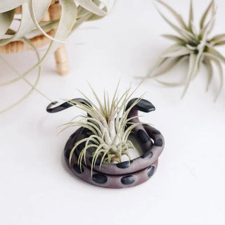 Medium Ceramic Snake With Plant - Saul