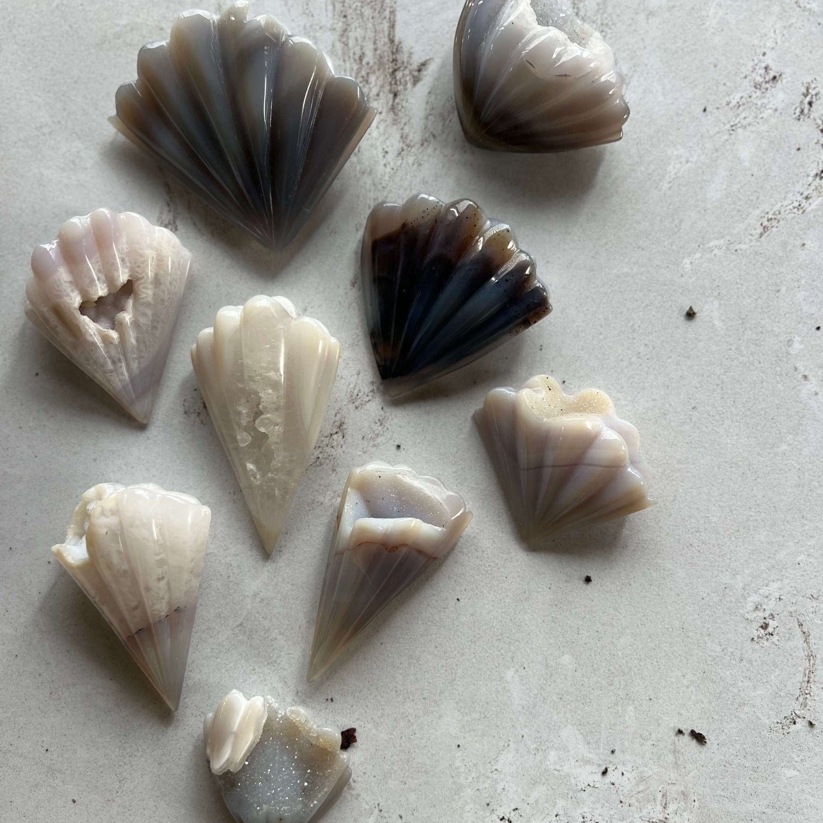 Collection of druzy agate seashell crystals with glittering druzy quartz points