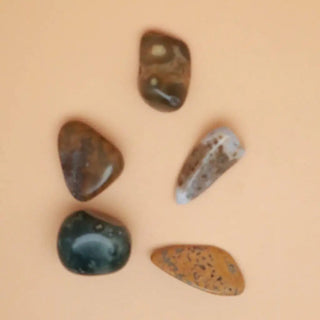 Ocean Jasper Crystal Tumbled Stone - Crystals