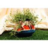 Sunset Flora Planter
