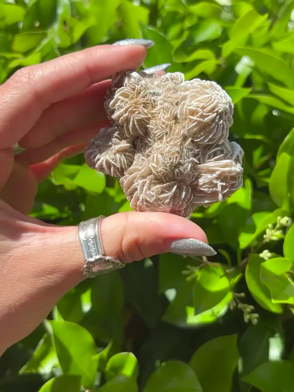 Desert Rose Crystal