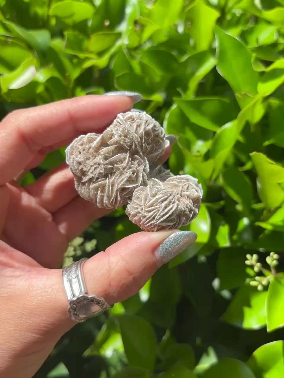 Desert Rose Crystal