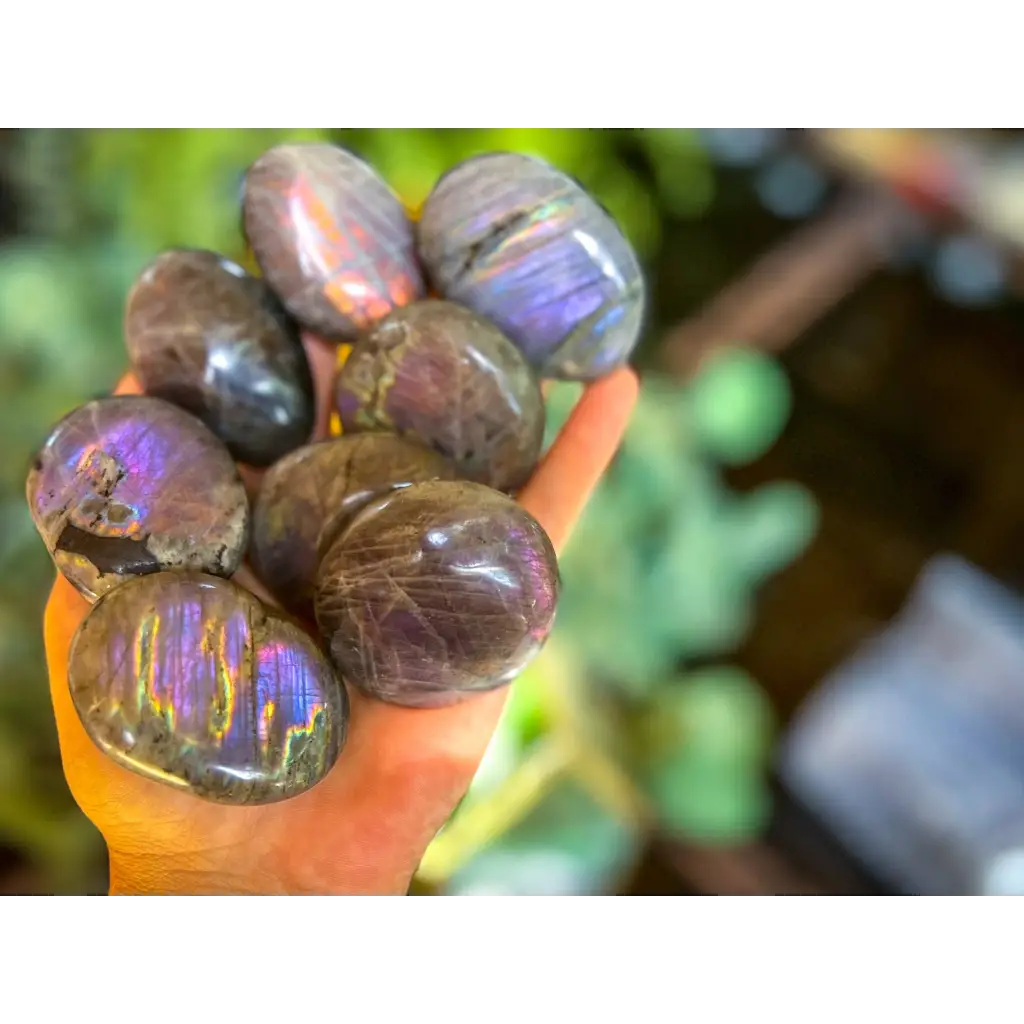 Purple Labradorite Crystal Palm