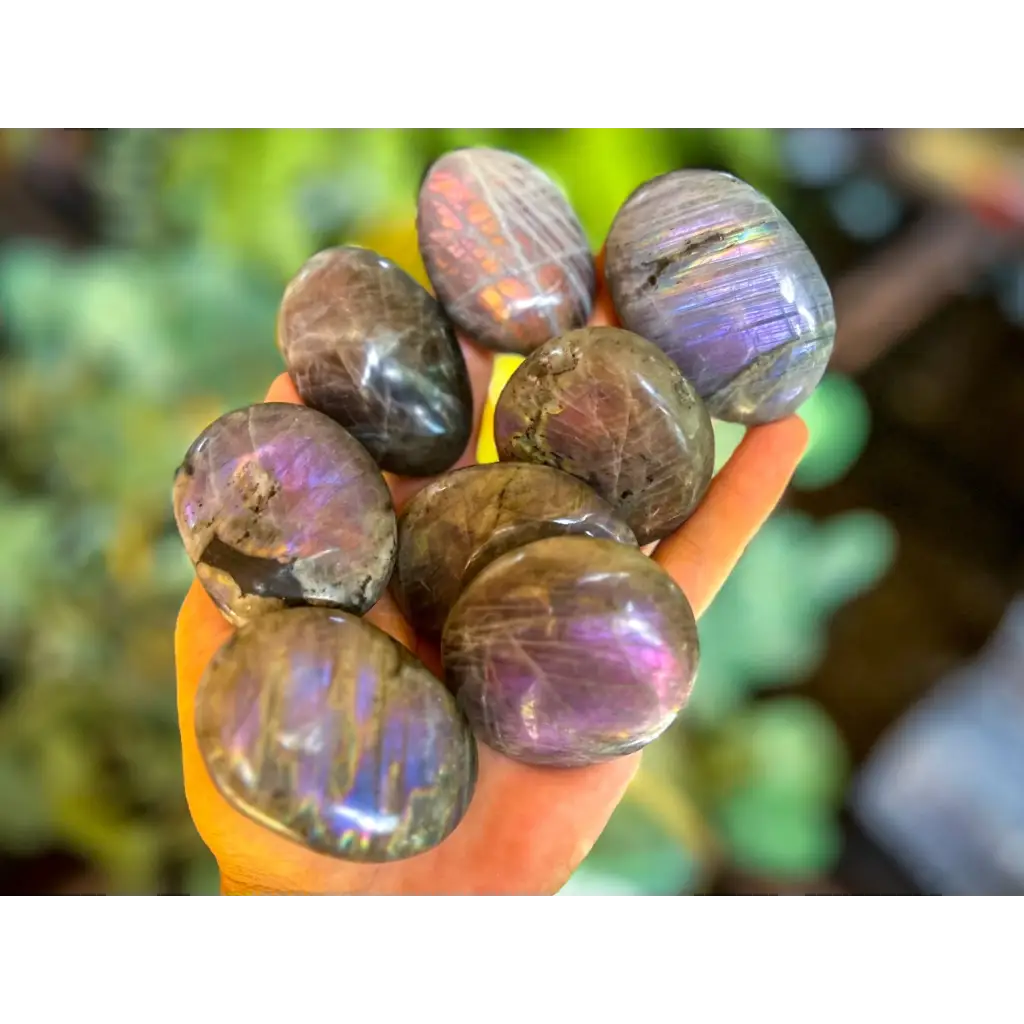 Purple Labradorite Crystal Palm