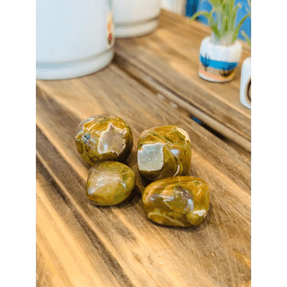 Rainforest Rhyolite Crystal Tumbled Stone