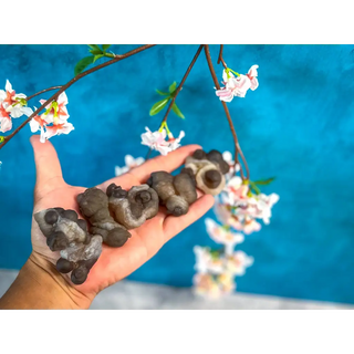 Raw TRUFFLE CHALCEDONY Specimens also known as Womb Stone