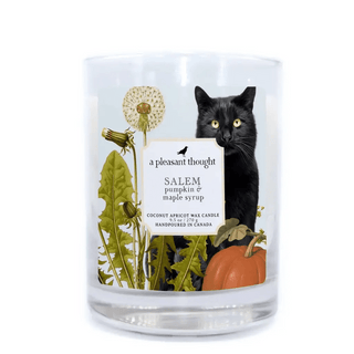 Pumpkin & Maple Syrup Candle