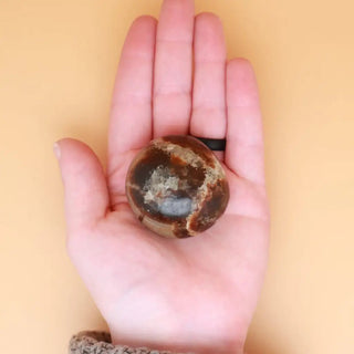 Septarian Crystal Palm Stone Tumble - Crystals