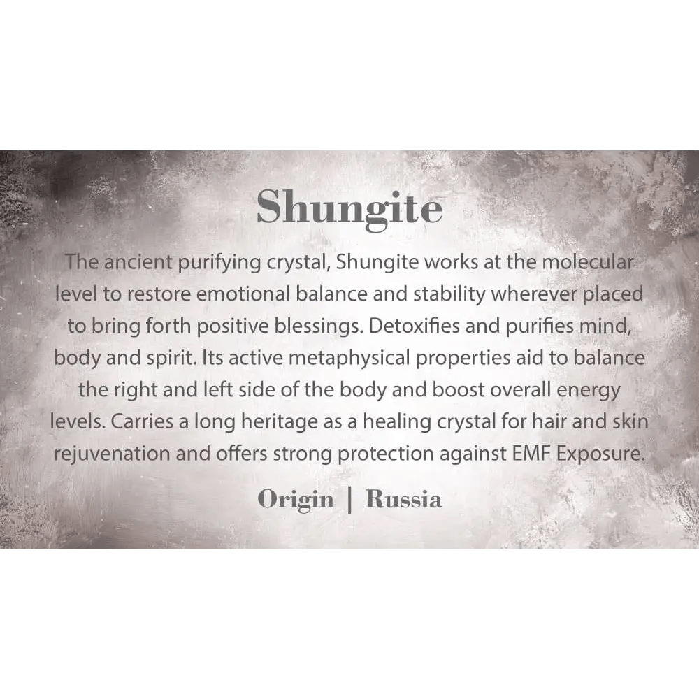 Shungite Tumbled Stone