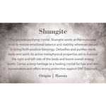 Shungite Tumbled Stone