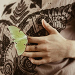 Secret Garden Organic Cotton T Shirt