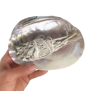 Pearl Shell Dish | Sage Smudge Bowl