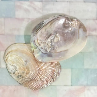 Pearl Shell Dish | Sage Smudge Bowl