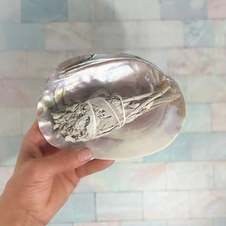 Pearl Shell Dish | Sage Smudge Bowl