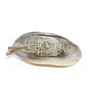 Pearl Shell Dish | Sage Smudge Bowl