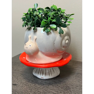 Snail & Mushroom Footsie Planter