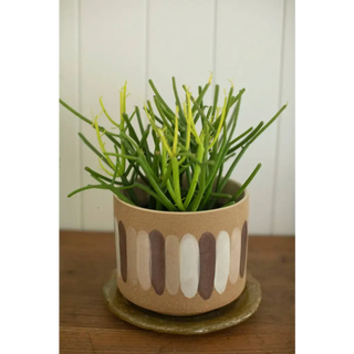 The Ceramic Planter with Paint Strokes on a wooden surface with a plant in it.