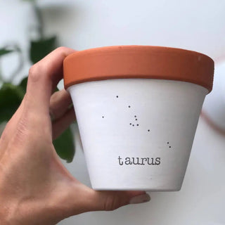 Taurus Planter