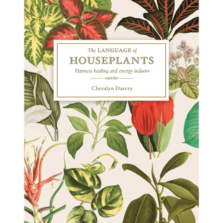 The Language of Houseplants