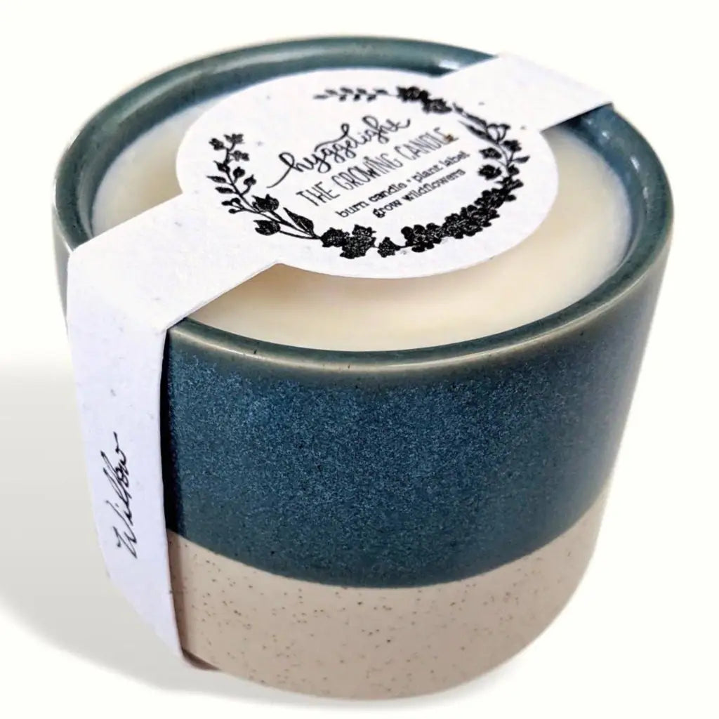 Willow | Growing Candle 10 oz soy - Unscented
