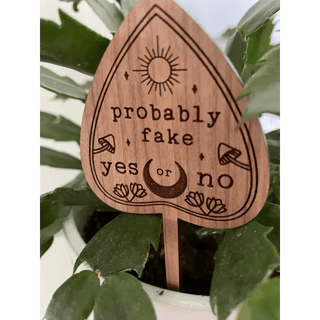 Witchy Vibes Plant Signs - Probably fake yes